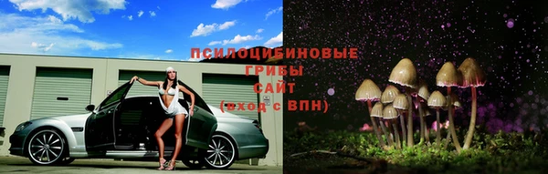 гидра Алзамай