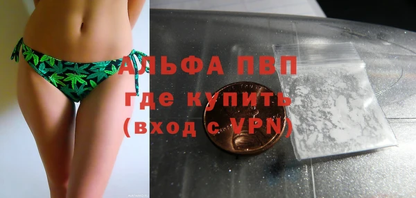 гидра Алзамай