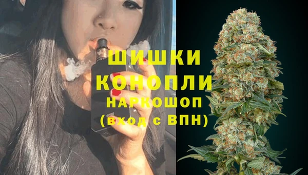 гидра Арсеньев
