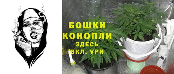 spice Алексеевка