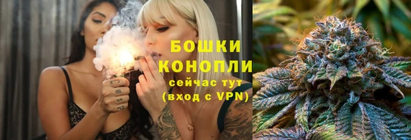 гидра Арсеньев