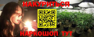 Альфа ПВП Аргун