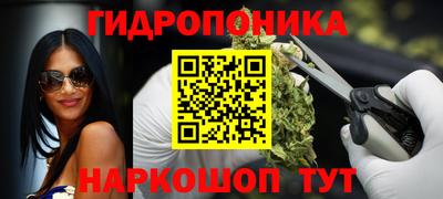 Альфа ПВП Аргун