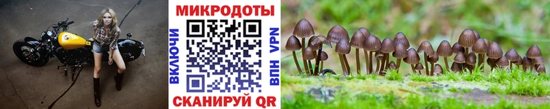 Галлюциногенные грибы ЛСД  сколько стоит  Аша 