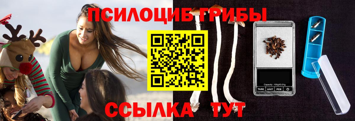 Псилоцибиновые грибы Psilocybe Аша