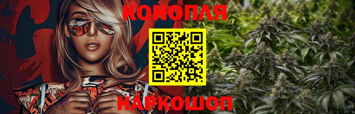 Канабис сатива Аша